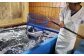 自社水槽から水揚げしたものを使用
