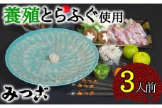 鮮度が命！とらふぐ刺しふぐ鍋セット（3人前）［冷蔵］［養殖1kgオーバー活魚使用］割烹みつご　