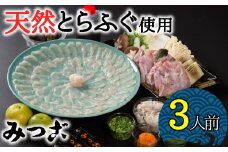 これぞ豊後水道の天然物！天然とらふぐ刺しふぐ鍋セット（3人前）［冷蔵］［天然とらふぐ1kg超え活魚使用］割烹みつご　