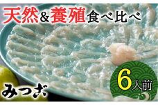 贅沢な食べ比べ！天然＆養殖とらふぐ刺しふぐ鍋セット（計6人前）［冷蔵］［養殖＆天然とらふぐ各1セット］割烹みつご
