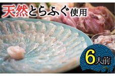 圧巻の豊後水道天然とらふぐ！天然とらふぐ刺しふぐ鍋セット（6人前）［冷蔵］［天然とらふぐ1kg超え活魚使用］割烹みつご