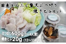 朝〆新鮮とらふぐ　ぶつ切り・焼きヒレセット（3～4人前）［冷蔵］木梨ふぐ