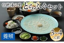 鮮度と自家製ポン酢にこだわったとらふぐ刺しふぐ鍋セット（3～4人前）［冷蔵］臼杵湯の里