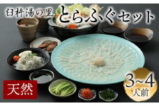 最高級の天然物！とらふぐ刺しふぐ鍋セット（3～4人前）［冷蔵］臼杵湯の里