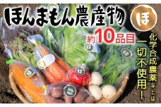 化学合成農薬等不使用で栽培！安心安全な「ほんまもん野菜」を10品目前後お届け♪