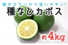 【先行予約】種が少ないから使いやすい！佐々木さんの「種無し（小種）かぼす」約4kg