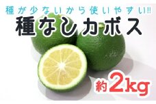【先行予約】種が少ないから使いやすい！佐々木さんの「種無し（小種）かぼす」約2kg