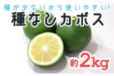 種が少ないから使いやすい！佐々木さんの「種無し（小種）かぼす」約2kg