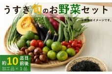野菜ソムリエがセレクト!「うすき旬のお野菜セット」