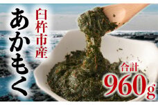 栄養豊富でシャキシャキ＆ネバネバの臼杵産「あかもく」（計960g)