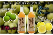 臼杵産のカボスをブレンドした梅酒「かぼすと梅酒のものがたり」2本セット