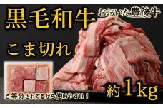おおいた豊後牛　黒毛和牛こま切れ（約1kg）