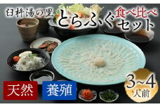 養殖＆天然とらふぐの贅沢食べ比べ！とらふぐ刺しふぐ鍋セット（6～8人前）［冷蔵］臼杵湯の里