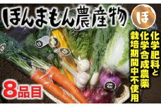化学合成農薬等不使用で栽培！安心安全な「ほんまもん野菜」を8品目お届け♪