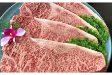 肉質4等級以上！おおいた和牛の黒毛和牛サーロインステーキ（計640g）
