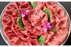 肉質4等級以上！おおいた和牛のの黒毛和牛　モモ肉＆ローススライス（計800g）
