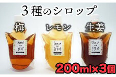 3種の味がたのしめる！シロップセット（生姜・レモン・梅）