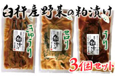 3種の味が楽しめる！地元酒蔵の酒粕で漬けた粕漬け3種セット（うり・きゅうり・セロリ）