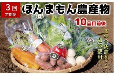 【3ヶ月定期便】化学合成農薬等不使用で栽培！安心安全な「ほんまもん野菜」を10品目前後お届け♪