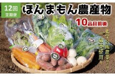 【12ヶ月定期便】化学合成農薬等不使用で栽培！安心安全な「ほんまもん野菜」を10品目前後お届け♪