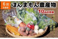 【6ヶ月定期便】化学合成農薬等不使用で栽培！安心安全な「ほんまもん野菜」を10品目前後お届け♪