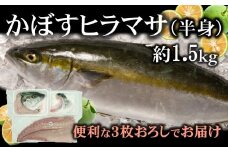 【期間限定】爽やかな味わい！「うすき産かぼすヒラマサ」約1.5kg（半身）