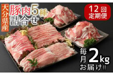 【12ヶ月定期便：2025年10月配送開始】小分けで便利♪大分県産 豚5種詰め合わせ（約2kg×12回）