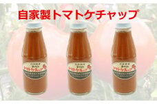 【四季菜彩】完熟トマトケチャップ（3本）