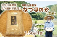 [オーガニック太陽]令和6年度米（玄米）1.5kg！化学肥料等を使わずに育てたから安心安全！