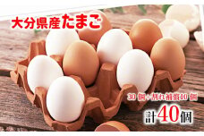 大分県産たまご30個（割れ補償10個付き）