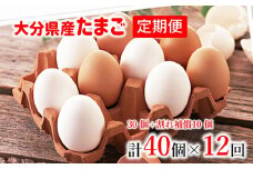 【12回定期便】大分県産たまご30個（割れ補償10個付き）