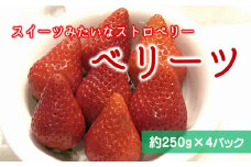【2025年2月中旬より順次発送】ベリーツ（250g×4パック）