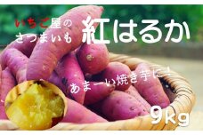 いちご屋のさつまいも「紅はるか」（9kg）