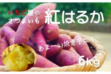 いちご屋のさつまいも「紅はるか」（6kg）