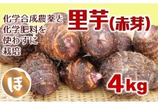 化学合成農薬不使用！ぬめりの少ないほくほく里芋（赤芽）（4kg）