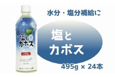 大分かぼすを使用した飲料「塩とカボス」