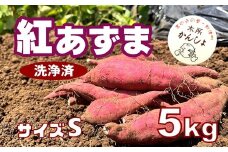 木所かんしょ（紅あずま）５㎏【栽培期間中化成肥料不使用】洗浄済 さつまいも Sサイズ