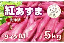 木所かんしょ（紅あずま）５㎏【栽培期間中化成肥料不使用】洗浄済 さつまいも Mサイズ