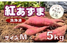 木所かんしょ（紅あずま）５㎏【栽培期間中化成肥料不使用】洗浄済 さつまいも Mサイズ