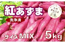 木所かんしょ（紅あずま）５㎏【栽培期間中化成肥料不使用】洗浄済 さつまいも ミックス