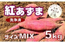 木所かんしょ（紅あずま）５㎏【栽培期間中化成肥料不使用】洗浄済 さつまいも ミックス