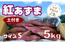 木所かんしょ（紅あずま）５㎏【栽培期間中化成肥料不使用】土付き さつまいも Sサイズ