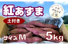 木所かんしょ（紅あずま）５㎏【栽培期間中化成肥料不使用】土付き さつまいも Mサイズ