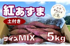 木所かんしょ（紅あずま）５㎏【栽培期間中化成肥料不使用】土付き さつまいも ミックス
