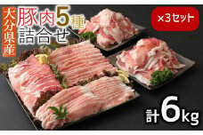 ＼選べる内容量‼／ 小分けされてるから便利♪大分県産 豚詰め合わせ５種（約６ｋｇ）
