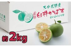 【先行予約】香り爽やか　佐々木さんのカボス(2kg)