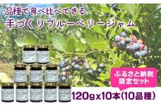 ブルーベリー好きに贈る！ 10品種のブルーベリージャム食べ比べセット【ふるさと納税限定】120ｇ×10本　栽培期間中農薬不使用