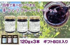 ブルーベリージャム３点セット（ギフトボックス付）120ｇ×3本　無添加　栽培期間中農薬不使用