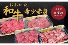 【定期便／全4回】おおいた和牛 希少赤身定期便年4回（3か月に1回）