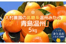【先行予約】大村農園の温州みかん 青島温州 5kg みかん ミカン 蜜柑 オレンジ 旬のフルーツ 果実 大分県産 九州産 津久見市 国産